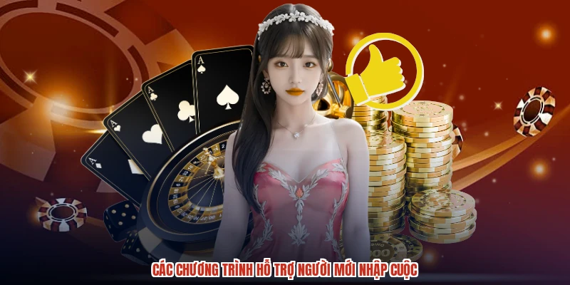 Các chương trình hỗ trợ người mới nhập cuộc