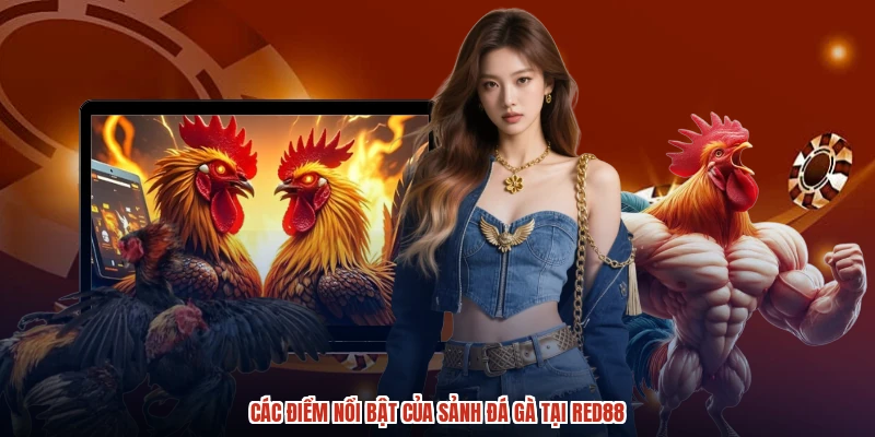 Các điểm nổi bật của sảnh đá gà tại RED88