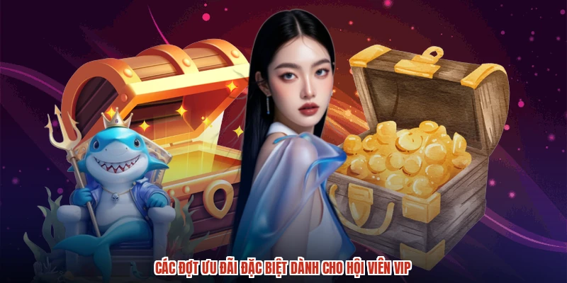 Các đợt ưu đãi đặc biệt dành cho hội viên VIP Các đợt ưu đãi đặc biệt dành cho hội viên VIP