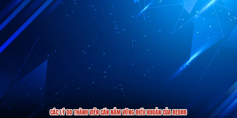 Các lý do thành viên cần nắm vững điều khoản của RED88 Các lý do thành viên cần nắm vững điều khoản của RED88