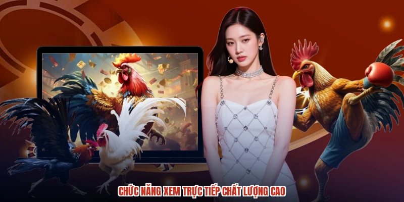 Chức năng xem trực tiếp chất lượng cao