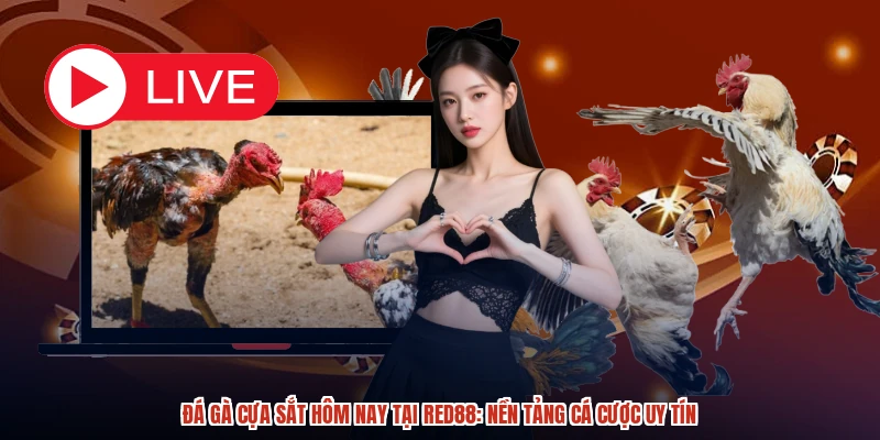Đá Gà Cựa Sắt Hôm Nay Tại RED88: Nền Tảng Cá Cược Uy Tín