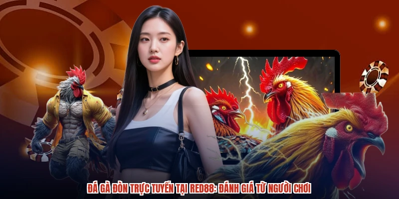 Đá Gà Đòn Trực Tuyến Tại RED88: Đánh Giá Từ Người Chơi
