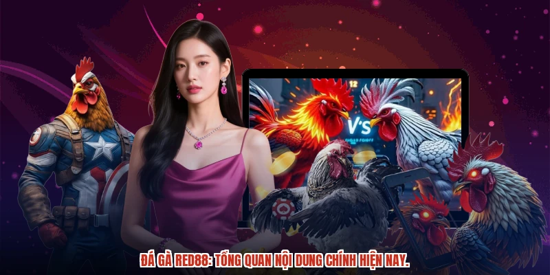 Đá gà RED88: Tổng quan nội dung chính hiện nay.