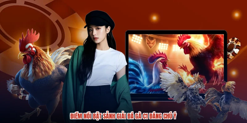 Điểm nổi bật sảnh giải đá gà C1 đáng chú ý