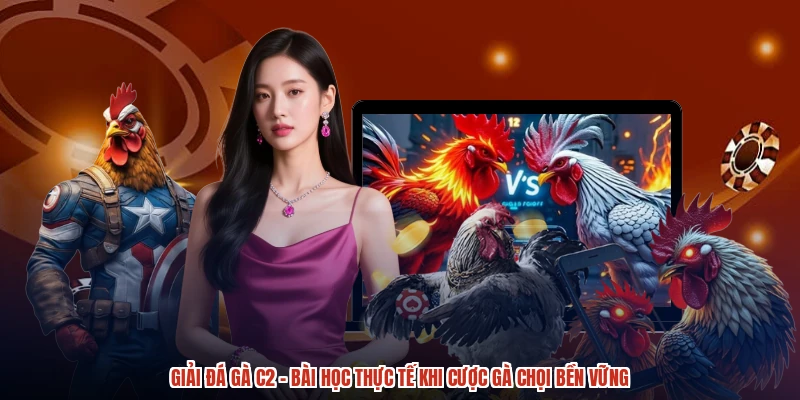 Giải Đá Gà C2 - Bài Học Thực Tế Khi Cược Gà Chọi Bền Vững