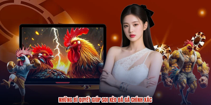 Những bí quyết giúp soi kèo đá gà chính xác