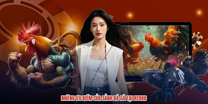 Những ưu điểm của sảnh đá gà tại RED88