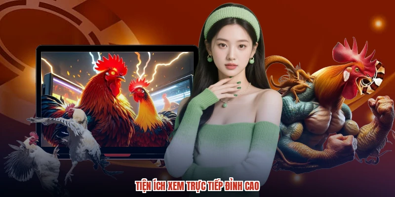 Tiện ích xem trực tiếp đỉnh cao